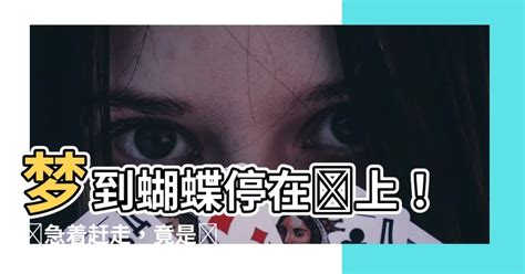 夢到蝴蝶停在臉上|周公解夢全書